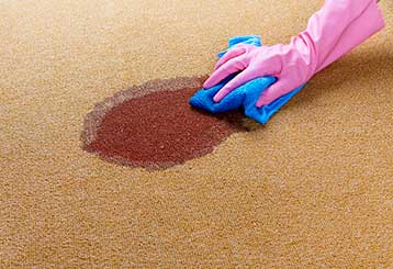 Clean spills and stains on the carpet | Carpet Cleaning Pasadena