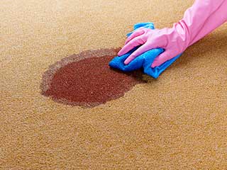 Clean spills and stains on the carpet | Pasadena