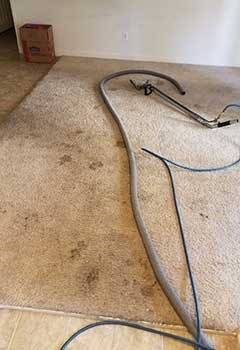 Thorough Carpet Stain Removal In Sierra Madre